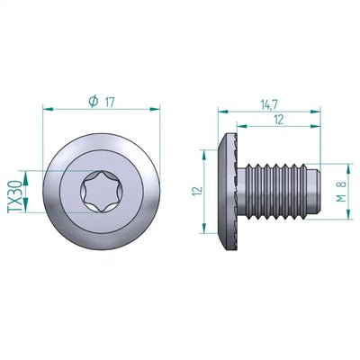 Flachkopf Schraube  M8 TORX 30 Schweighöfer Tore