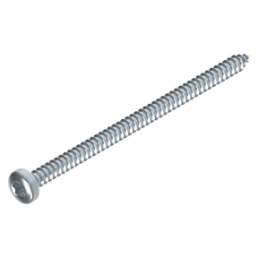Schraube 4.2 x 70 mm Torx EV Schweighöfer Tore